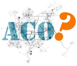 Accountable Care Organization