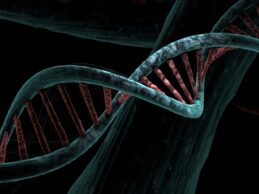 Golden Valley Memorial Goes Live on MEDITECH Expanse Genomics